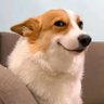 Profilbild von jem_jum