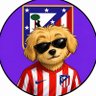 Elperrodelatleti's profile picture