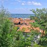 Jojo Lapin profil fotoğrafı
