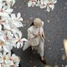 Фото профиля ASHWAQ