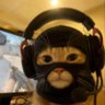 Profilbild von Sivi