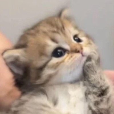 naitahanasi's profile picture