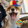 SimplyFoxy 🦊's profile picture