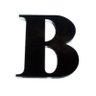 Bruno Tirolensis's profile picture