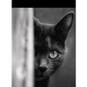 whm81766 profil fotoğrafı