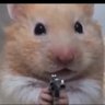 Piran's profile picture