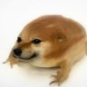 Profilbild von 南章伦