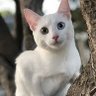 من 的头像