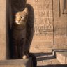 demontime profil fotoğrafı