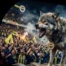 ötüken's profile picture