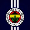 FENERBAHÇELİ TÜRK 🎽's profile picture