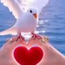 دعا's profile picture