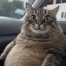 CheezBurga profil fotoğrafı