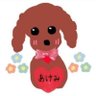 あけみ🍖🎹🌈ハラミちゃん47ツアー🎩🐈⬛🦁🍇🐹's profile picture