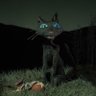 emew's profile picture