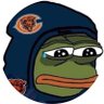 BearsShowYo's profile picture