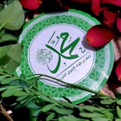 Dr_Bassam_Ali's profile picture