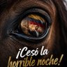 Фото профиля se le tiene