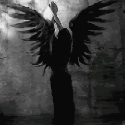 duhvduh's profile picture