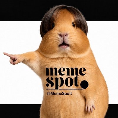 Meme Spot's profile picture