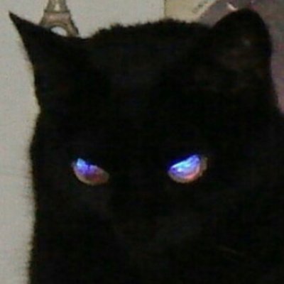 worm's profile picture