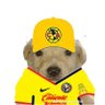 armin Torres's profile picture