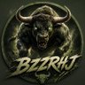 Bzzrhj 的头像