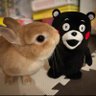 ミッキーちあき's profile picture