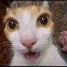 Yuno profil fotoğrafı