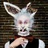 RottenRabbit profil fotoğrafı