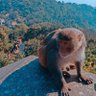 Tinku kr. ydv's profile picture