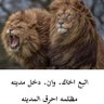 Фото профиля هزيم الرعد