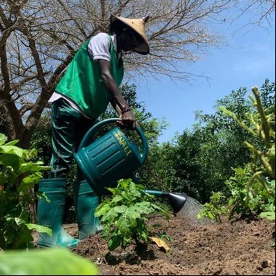 Jeynaba Njaay 🇸🇳🇵🇸❤️✍️'s profile picture
