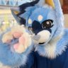 Glace's profile picture