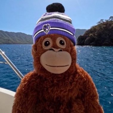 Lockdown Rivers's profile picture