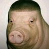 Profilbild von luke