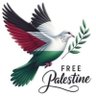 محمد صدرالدين's profile picture