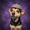 Andi's profile picture