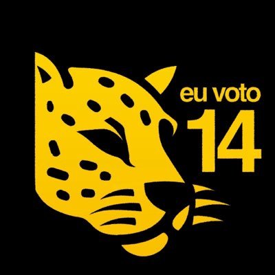 PartidoMissao's profile picture