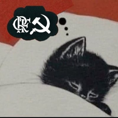 Dersu's profile picture