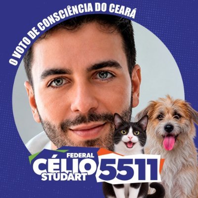 Célio Studart's profile picture