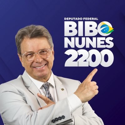 Bibo Nunes |'s profile picture