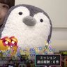 Фото профиля スルーセブン