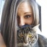 Allie Cat's profile picture
