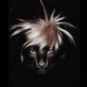 Dirty White's profile picture
