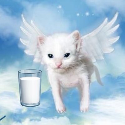 10nicebam23's profile picture