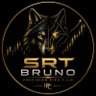Фото профиля SRT Bruno