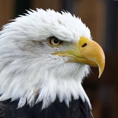 JakeTbird's profile picture