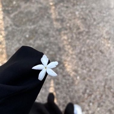 _muneeroh's profile picture