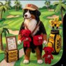カレッタ~BARKBEARD~吠える顎髭 的头像